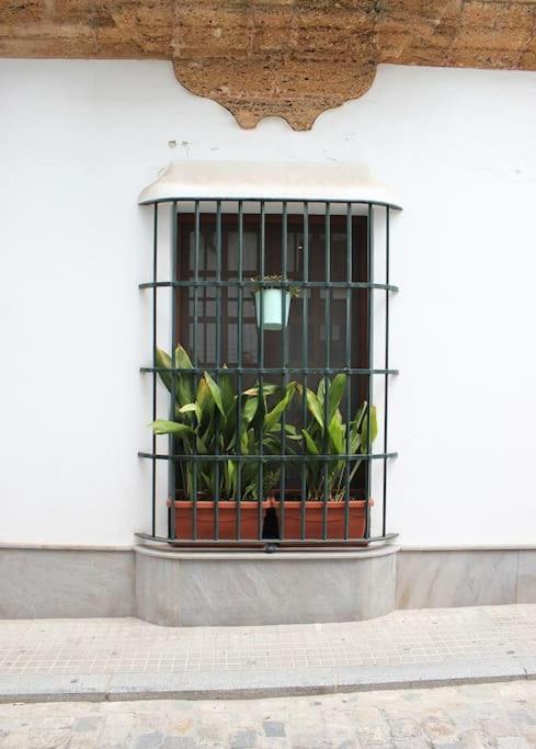 Fancy Apartment In A Historic House, Chiclana City Center By C. Dreams Chiclana de la Frontera Exteriér fotografie